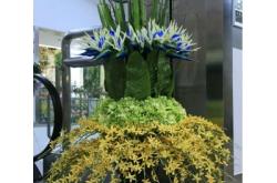 赤峰假花批發(fā)市場電話號碼