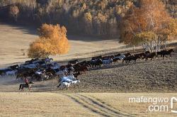 赤峰交響樂劇場官網(wǎng)電話號碼