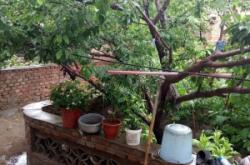 赤峰市大板大街社區(qū)電話號碼