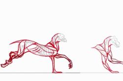 赤峰動(dòng)物解剖檢測(cè)中心電話號(hào)碼