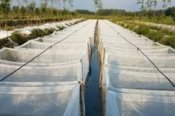 赤峰市收購水蛭電話號碼是多少