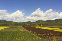 內蒙古赤峰地區(qū)電話區(qū)號是多少