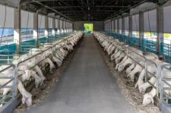 內(nèi)蒙古赤峰市羊場