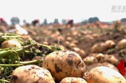 赤峰順通農(nóng)機電話號碼