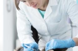 內(nèi)蒙古赤峰貓咪醫(yī)生電話(huà)號(hào)碼