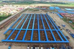 赤峰肉牛基地電話多少號(hào)