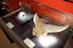 赤峰大鵝牛頭店電話地址查詢