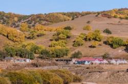 赤峰市收購樹林電話地址查詢