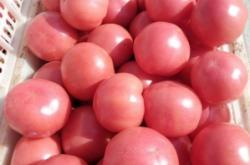 赤峰寧城縣秸稈回收電話號(hào)碼