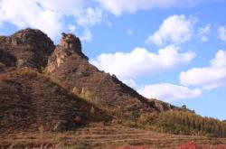 赤峰原野豆制品廠電話號(hào)碼