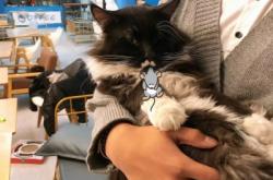 赤峰貓咪蛋糕專(zhuān)賣(mài)店電話(huà)號(hào)碼