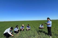 赤峰市牧草銷售公司電話號碼