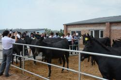 赤峰市敖漢旗煙草局電話號(hào)碼