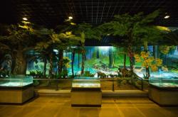 赤峰市減壓館電話地址查詢