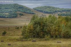 赤峰到烏蘭布統客車電話號碼