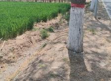 赤峰家政擦玻璃電話