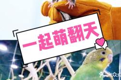 赤峰萌寵互動中心電話地址查詢