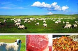 赤峰秧苗出售信息電話號(hào)碼查詢