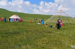 赤峰牛羊馬中介公司電話號碼