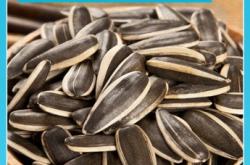 赤峰寧條顆粒廠家電話號碼