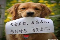 送貨上門赤峰電話是多少號(hào)