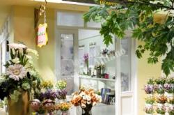 赤峰米蘭蛋糕店電話號碼多少