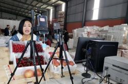 赤峰綠豐櫻桃采摘園電話號碼