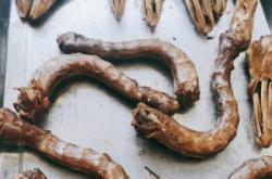 赤峰麻辣甲魚火鍋店電話號(hào)碼