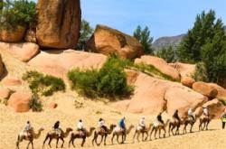 赤峰阿旗手工靴子店電話(huà)號(hào)碼