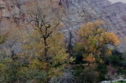 赤峰南山杏樹基地電話號(hào)碼