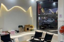 赤峰寵物店收貓電話號碼