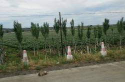 赤峰強潤牧業(yè)電話多少號碼