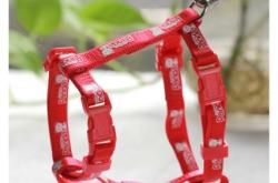 赤峰寵物回收店電話號碼查詢