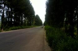 沈陽去赤峰客車電話號碼是多少