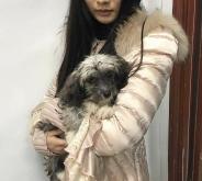 赤峰流浪貓收養(yǎng)站電話