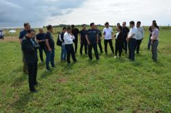 赤峰水培牧草供應(yīng)站電話號碼