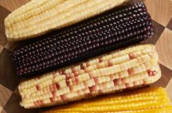 赤峰鴻馬包裝廠電話號碼