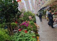 赤峰烏丹暖棚賣(mài)花房電話(huà)號(hào)碼