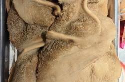 赤峰清真牛掌柜電話號碼多少