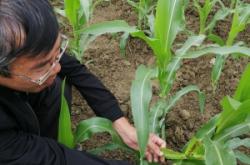 赤峰縣魯貢鎮(zhèn)政府電話號(hào)碼