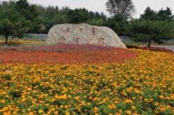 赤峰植物園社區(qū)門診電話號(hào)碼