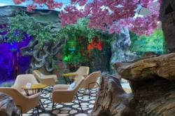 赤峰漫游太空藝術(shù)館電話號(hào)碼