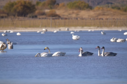 赤峰水善匯直播間電話(huà)號(hào)碼