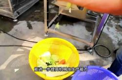 赤峰包菜分瓣機(jī)廠家電話號碼