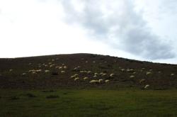 赤峰草原牧歌飯店