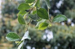 赤峰雨潤鮮花店地址電話號碼