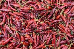 赤峰辣椒皮烘干廠家電話號碼