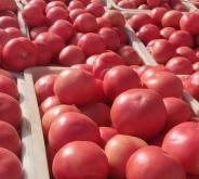 松風超市赤峰店電話地址查詢