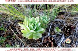 赤峰市葉片廠地址電話號碼