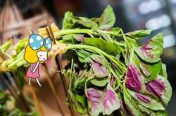 赤峰新清新齋飯店電話地址查詢